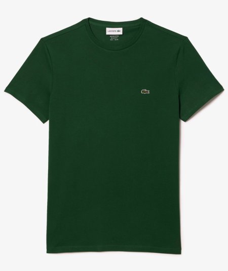 Crew-neck T-shirt in Pima cotton jersey