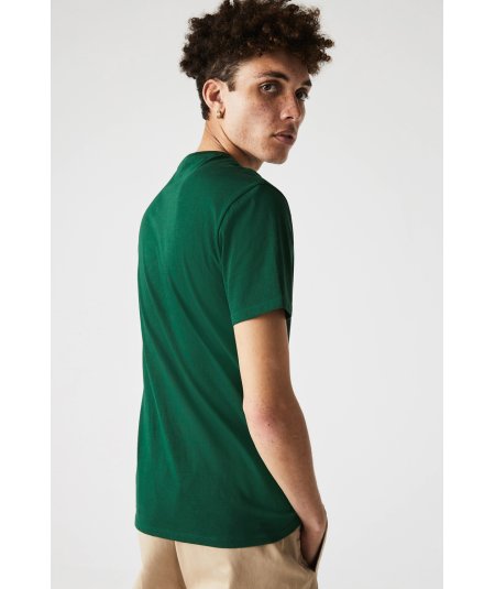 Crew-neck T-shirt in Pima cotton jersey